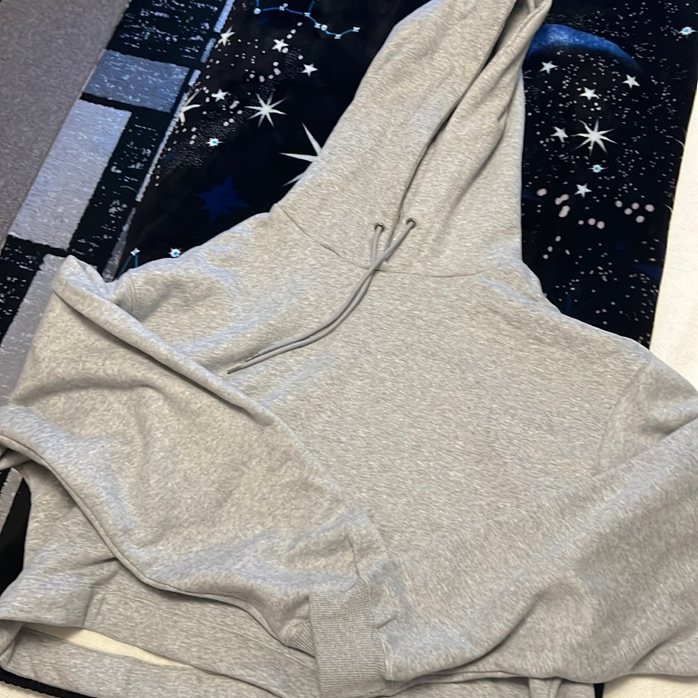 New Lilly & Lottie gray sweatshirt cropped